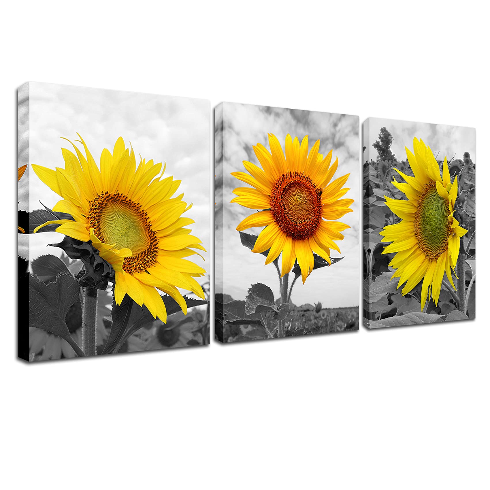 Amazon.co.jp: ひまわり キッチン 装飾 バスルーム ウォールアート